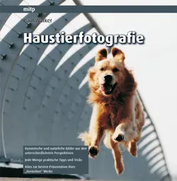 Haustierfotografie - Paul Walker - Bild 1