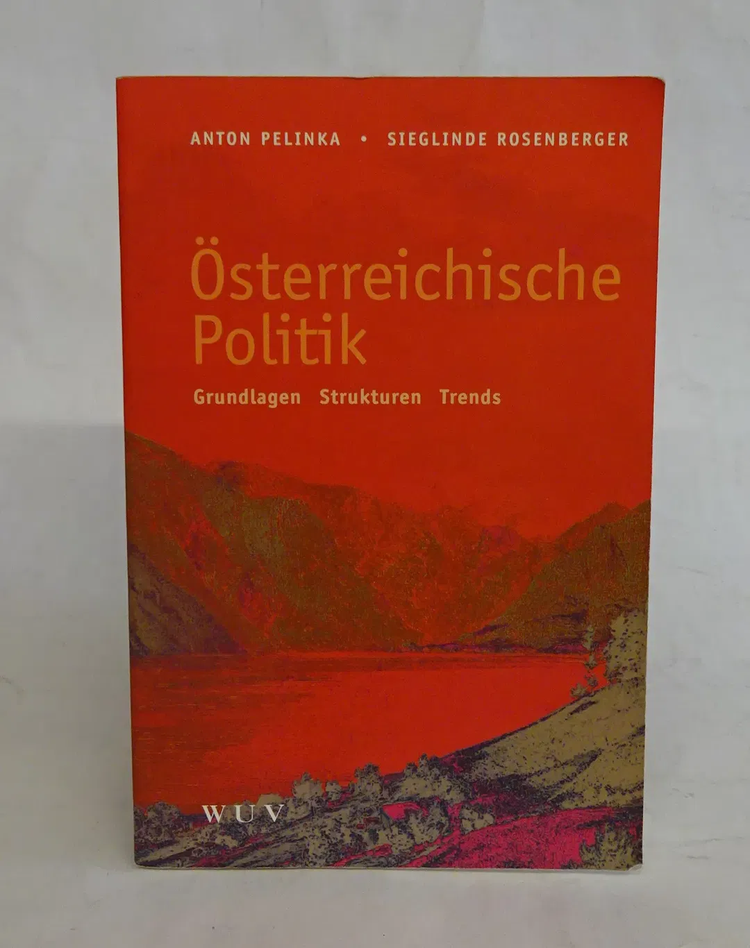 Österreichische Politik - Anton Pelinka,Sieglinde Rosenberger - Bild 1