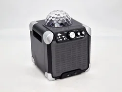 Maginon PS-15E Party-Lautsprecher - Schwarz