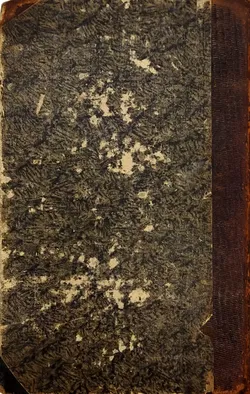 Die Bibel / Heilige Schrift des alten und neuen Testaments - Deutsche Übersetzung D. Martin Luthers - Bild 3