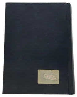 Buch Das einzige Wörterbuch 