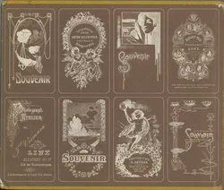  Buch Oberösterreich in alten Photographien, 1848-1914  - Bild 2