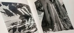 Edward Weston – Meisterwerke der Fotografie (Hardcover-Bildband) - Bild 5