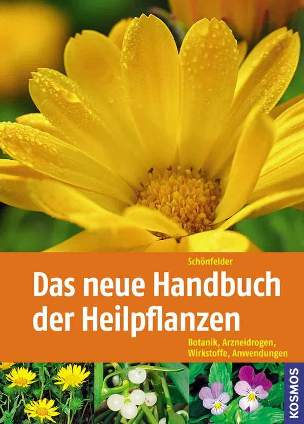 Buch 