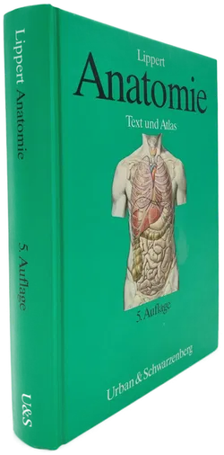 Anatomie - Herbert Lippert - Bild 2