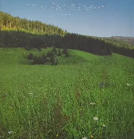 Oberösterreich – Ein faszinierender Blick auf die Region von Ernst Hausner, 205 Seiten, Sehr gut erhalten – Bild 2