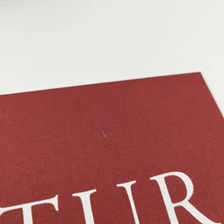 Skulptur-Buch (Taschen Verlag, Hardcover) | Einmaliges Exemplar - Bild 4