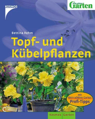 Topf- und Kübelpflanzen - Bettina Rehm - Bild 1