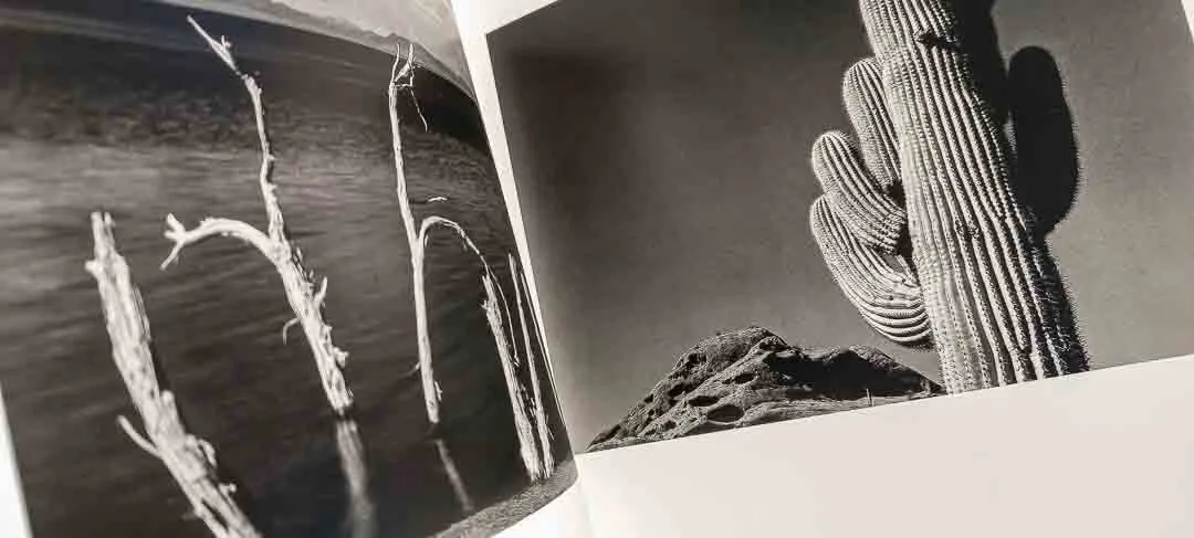 Edward Weston – Meisterwerke der Fotografie (Hardcover-Bildband) – Bild 4