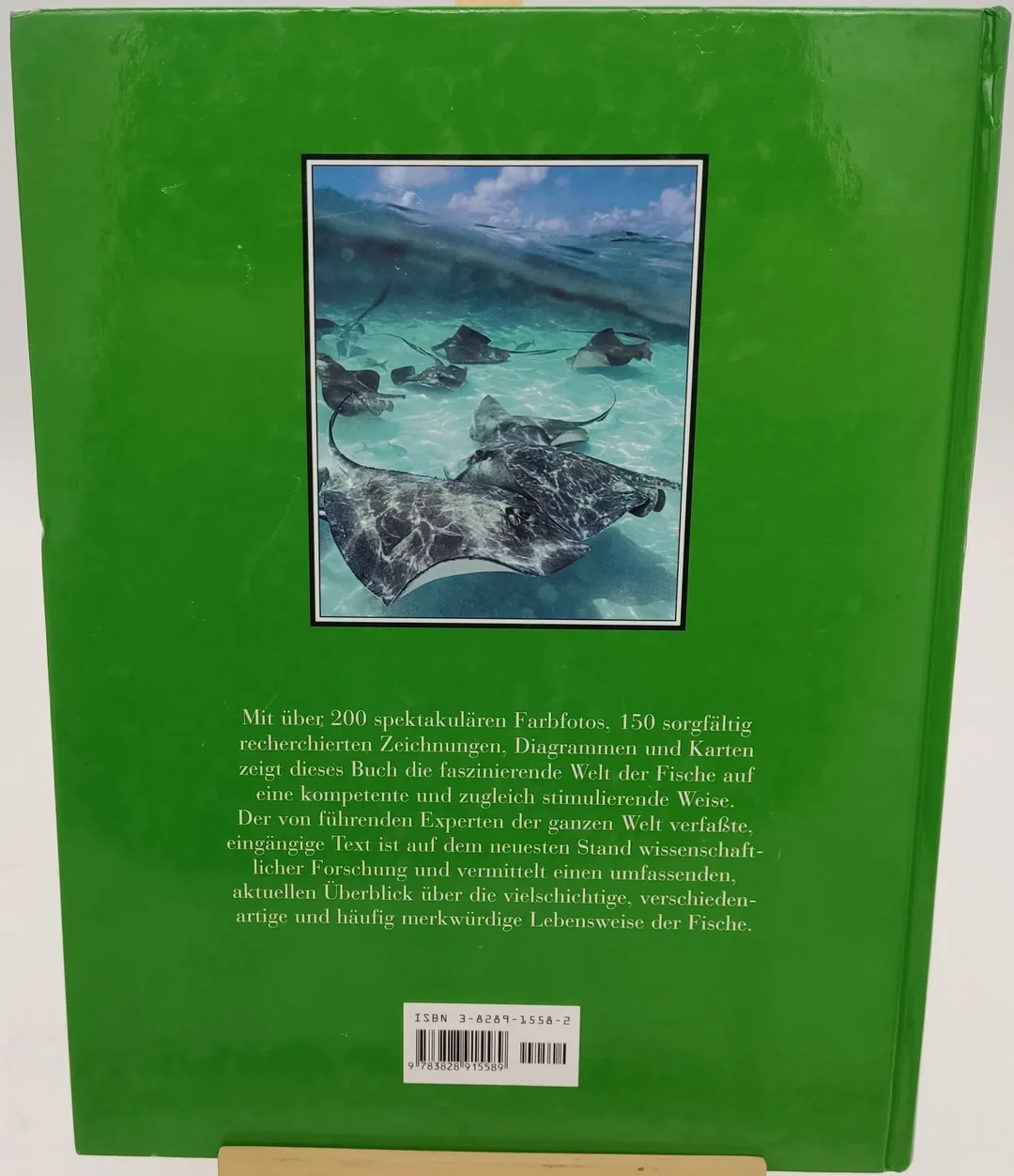 Buch Enzyklopädie der "Fische" – Bild 2