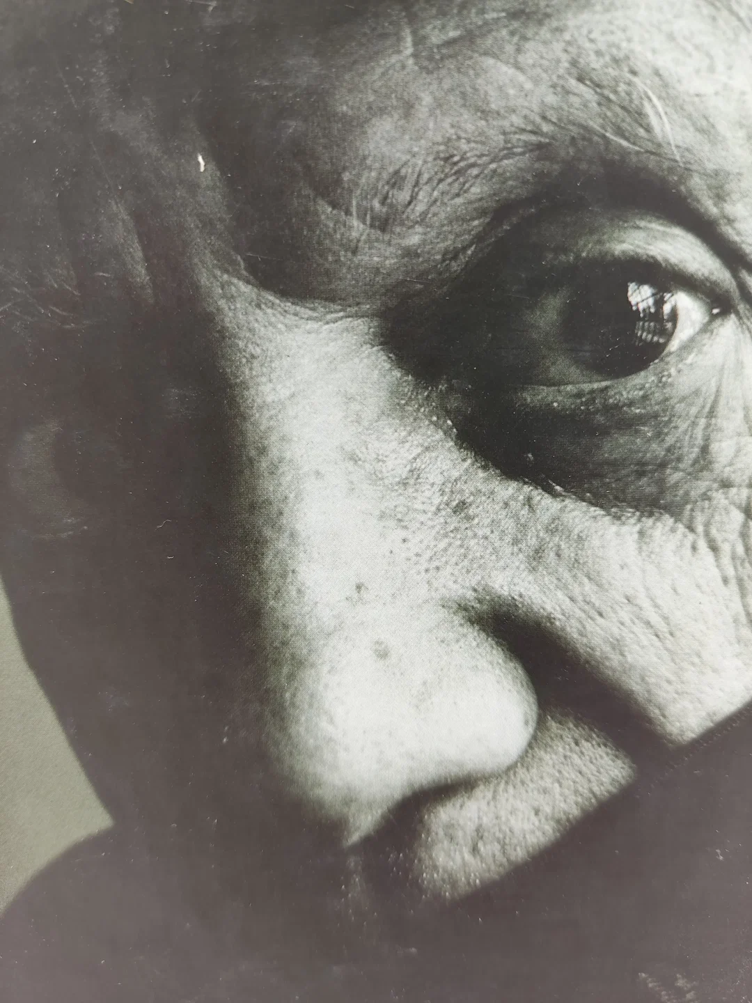 Picasso - Carsten-Peter Warncke Band I-II. im Schuber | Benedikt Taschen Verlag – Bild 4