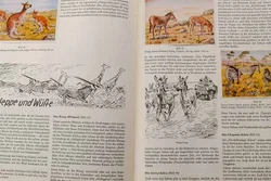 Peter Kühlemann „Wilde Tiere fremder Länder