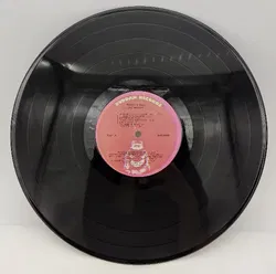 Langspielplatte - Jae Mason - Tender Man - Bild 4