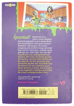 R. L. Stine Gänsehaut - 