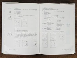 Höfische Tänze - Ihre Geschichte und Choreographie - Karl Heinz Taubert - Bild 2