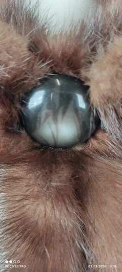 Nerz-Stola Sonstige Echter Pelz Neuwertig | Zeitlose Eleganz - Bild 6