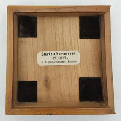 Starke & Kammerer - antiker Kompass - Bild 3