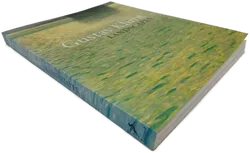 Gustav Klimt - Landscapes - Stephan Koja - Bild 3