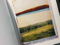 The Polaroid Book - Barbara Hitchcock - Bild 2