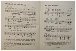 Mein Liederbuch – Die schönsten und bekanntesten Volkslieder für Handharmonika  - Bild 2