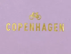 Copenhagen Studios Chelsea Boots aus Leder caramel Gr. 36 - Bild 7