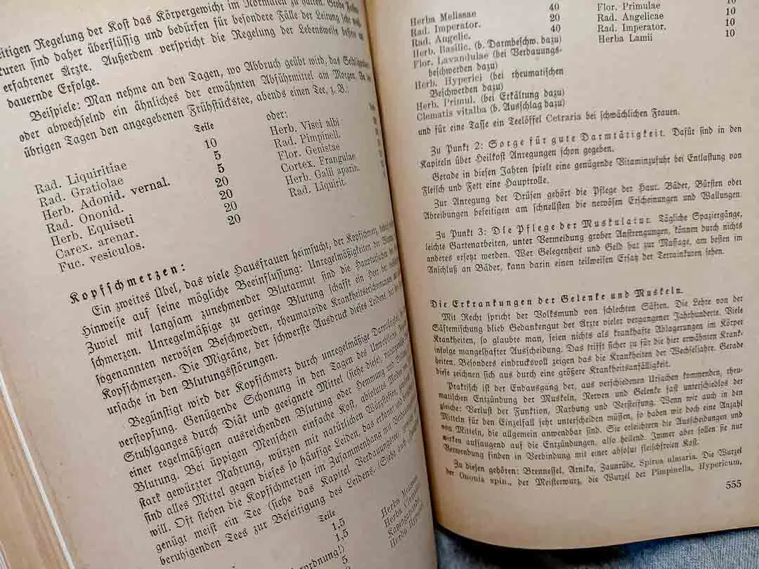 Antiquariat: Haushaltsbuch Wirtschaftskunde Wels Fraktur Rezeptbuch Vintage – Bild 4