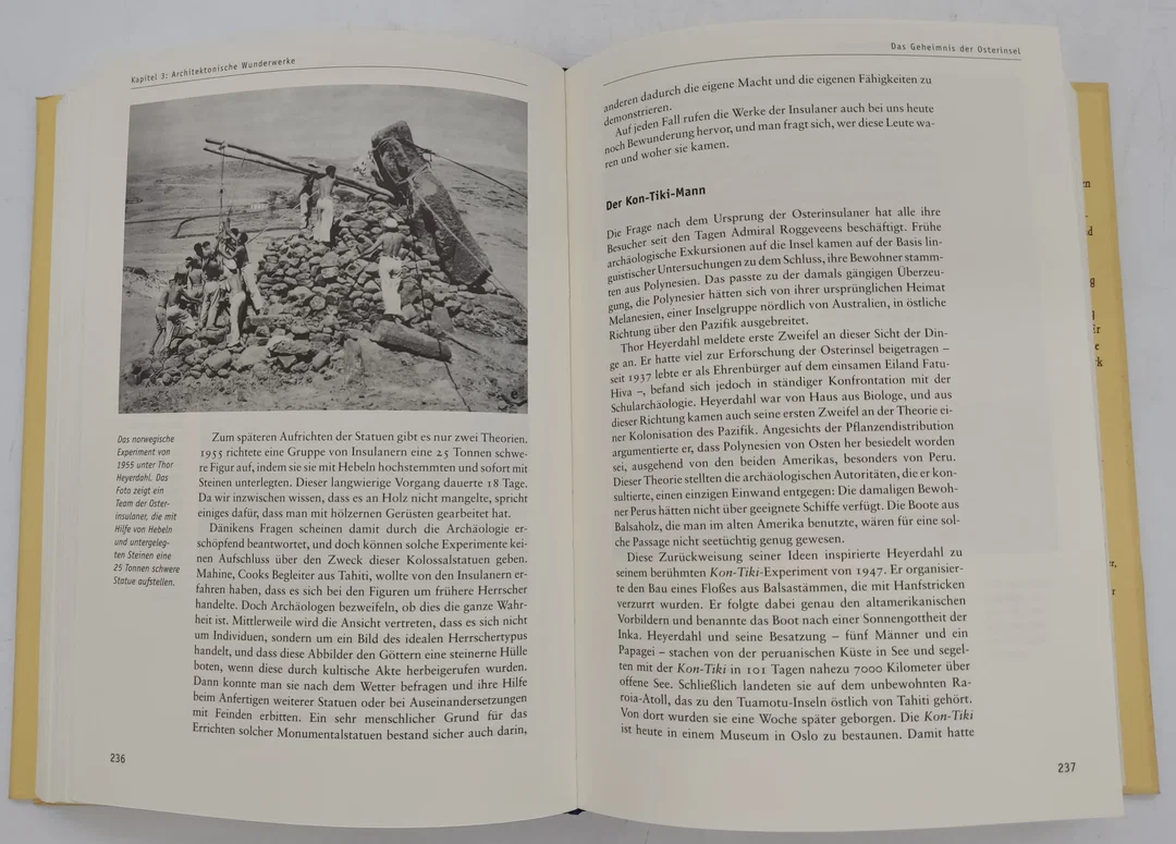 Buch "Halley, Hünen, Hinkelsteine" Die großen Rätsel der Menschheit von Petter James und Nick Thorpe – Bild 6