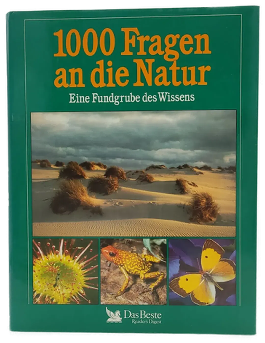 Buch 
