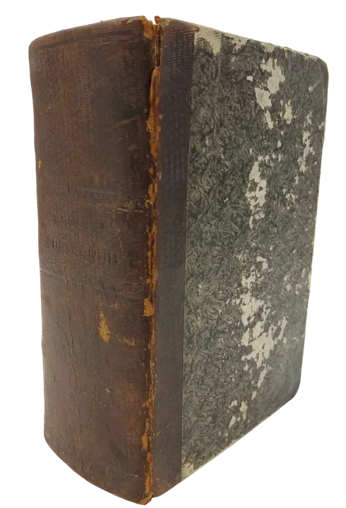 Die Bibel / Heilige Schrift des alten und neuen Testaments - Deutsche Übersetzung D. Martin Luthers - Bild 2