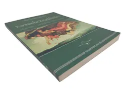 Karmische Krankheiten – Erkennen. Verstehen. Überwinden. - Bild 3