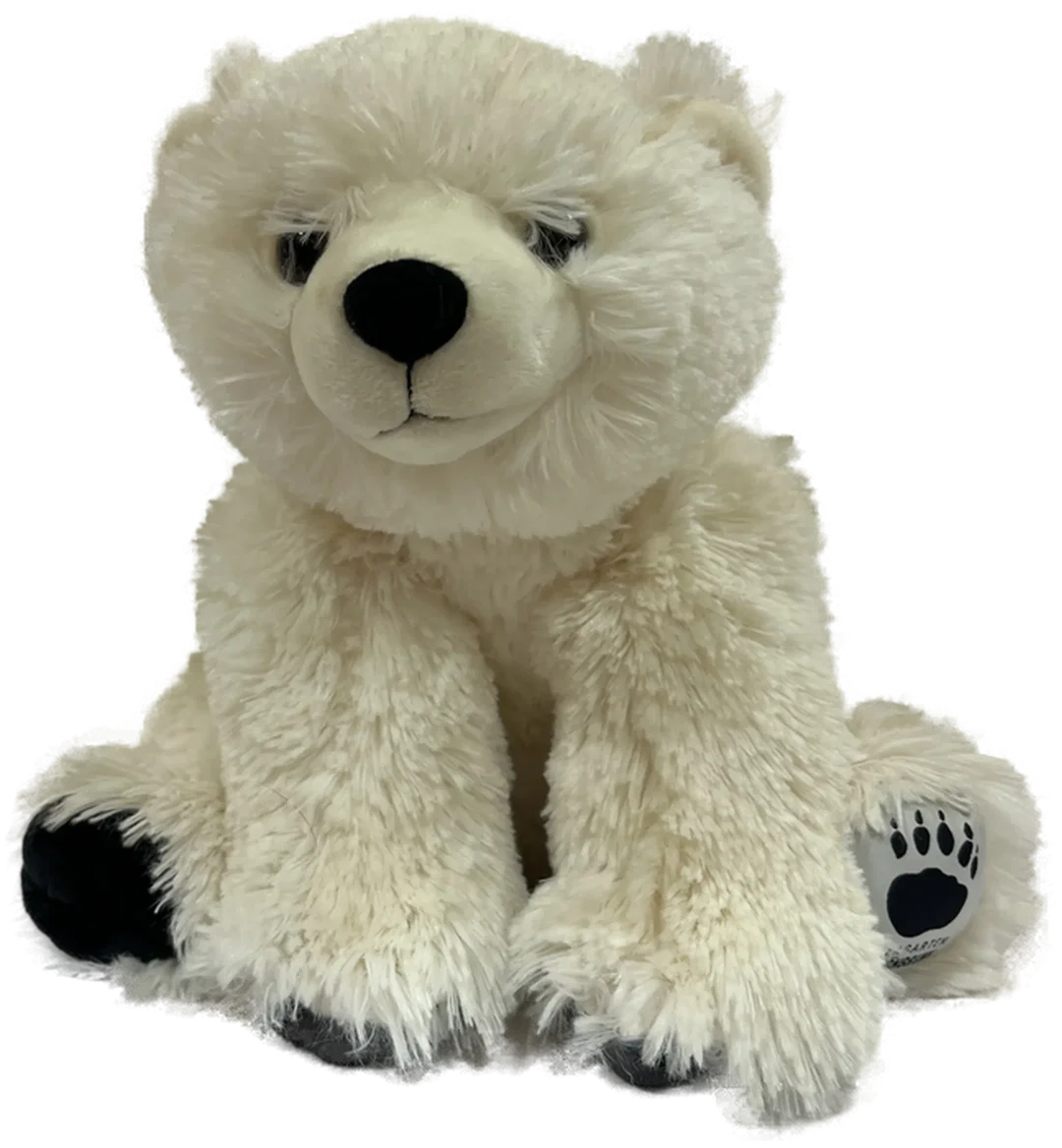 SCHÖNBRUNN Eisbär - Bild 1