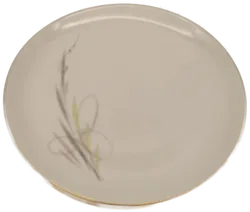 Speiseservice komplett , Eschenbach, 50er Jahre, Midcentury, Vintage, selten - Bild 14