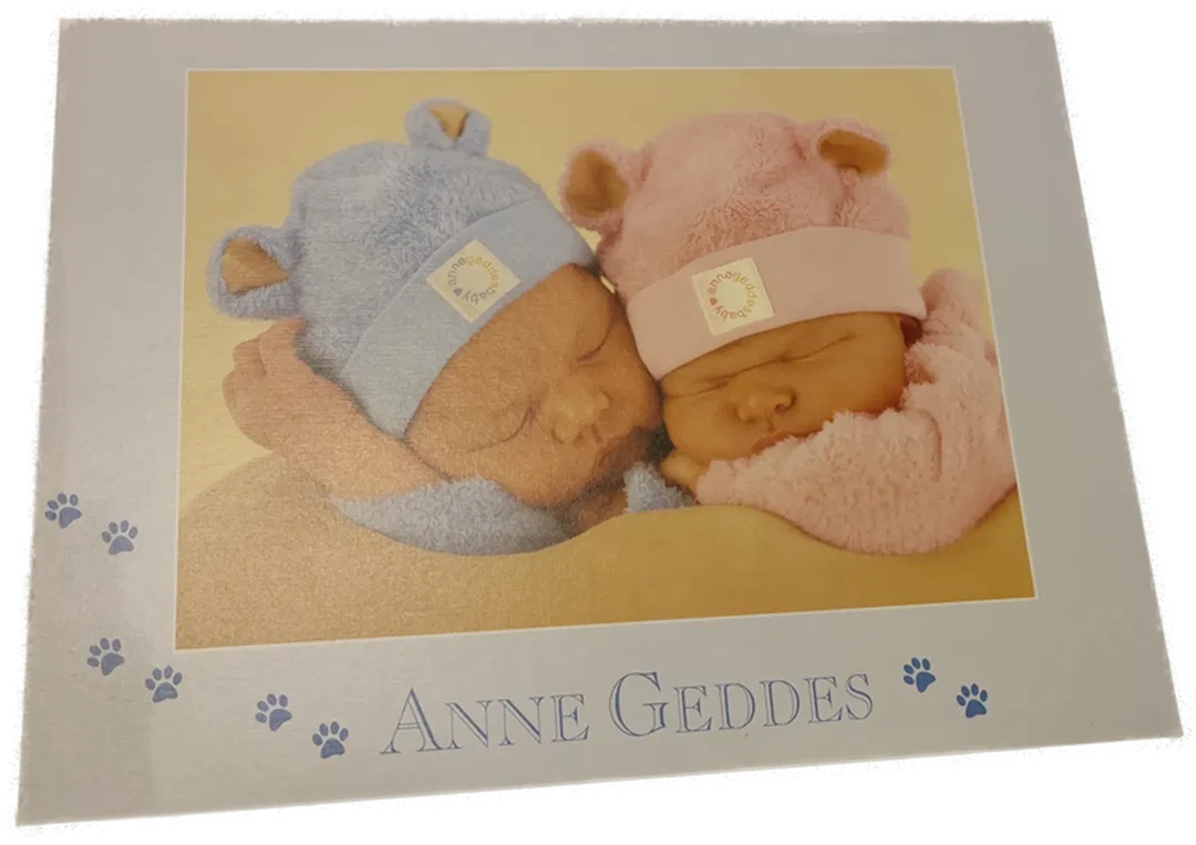 Schmidt Puzzle 1000 Stk Anne Geddes - Bild 1