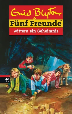 Fünf Freunde wittern ein Geheimnis - Enid Blyton