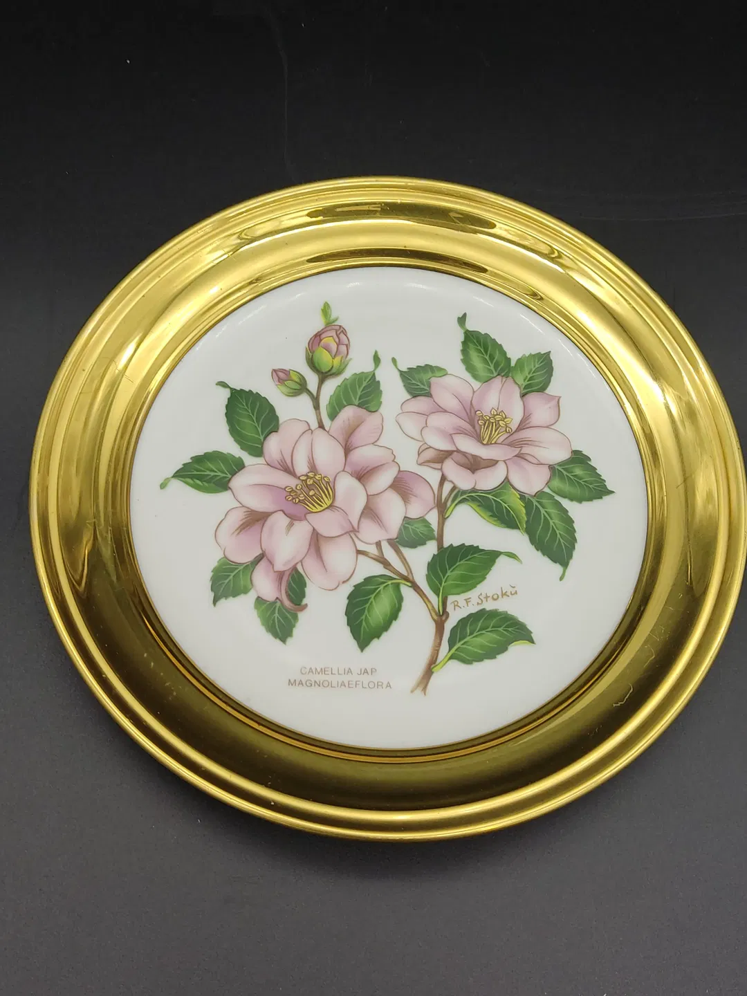 Winterling  Sammelteller  - Bild 1