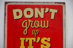Vintage Blechschild „Don’t grow up it’s a trap“ 30x45 cm - Bild 3