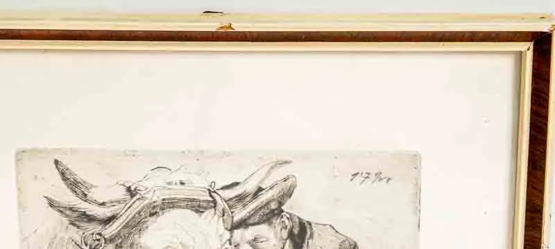 FRIEDRICH GRAUSGRUBER, Bild – Bild 3