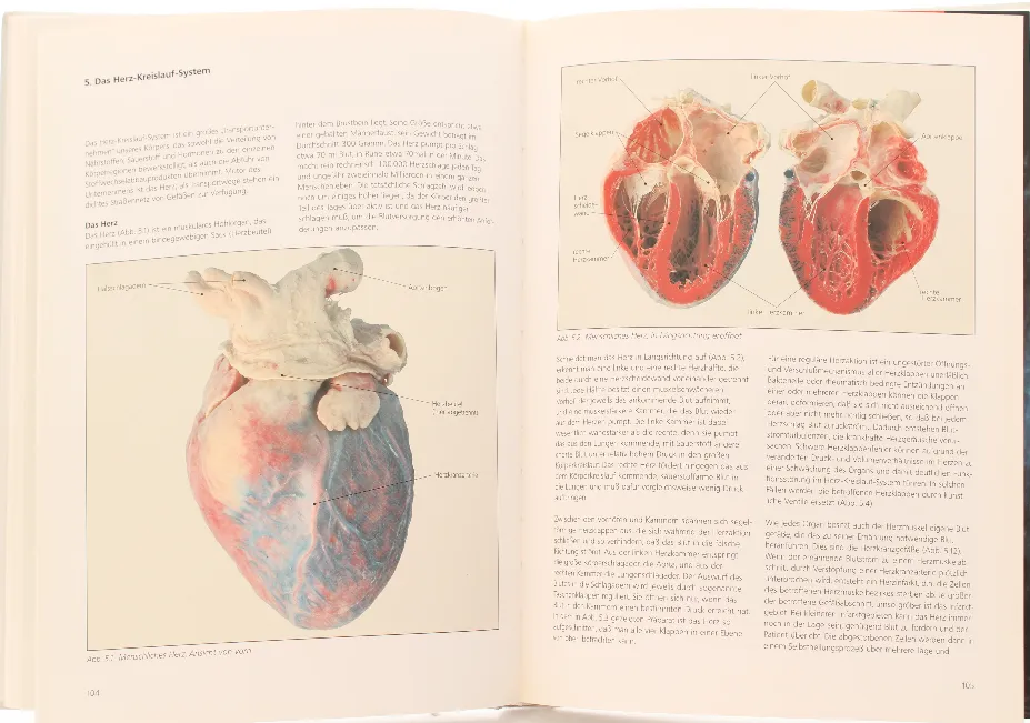 Buch "Körperwelten" – Einblicke in den menschlichen Körper (1998, Institut für Plastination) – Bild 4