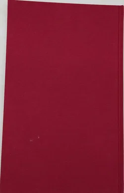 Prunkschrift - Biblia 1630 - die ganze heilige Schrift durch Dr. Martin Luther verdeutscht - Faksimile - Bild 14