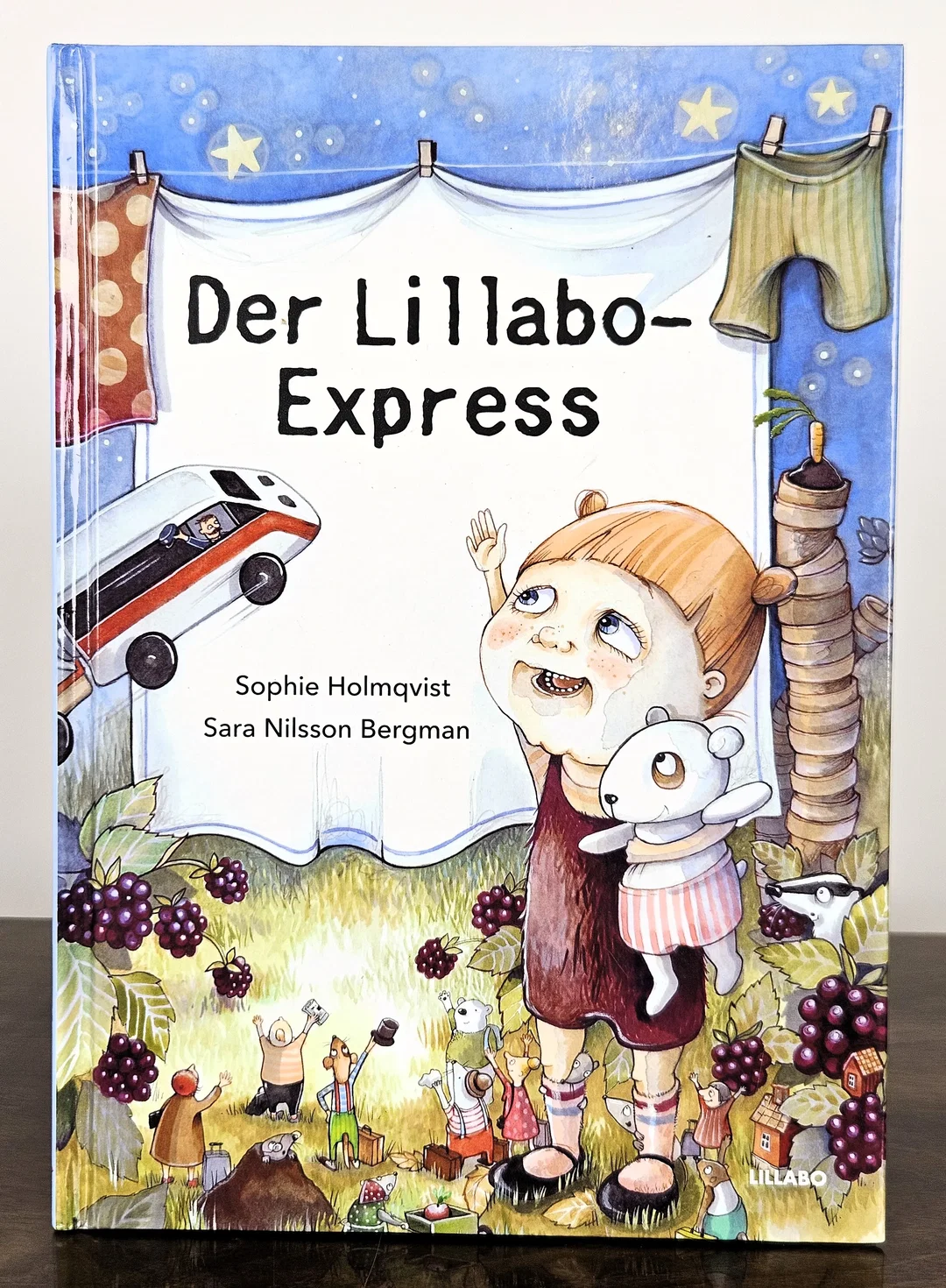 Der Lillabo-Express - Sophie Holmqvist  - Bild 1