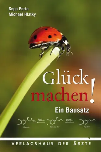 Glück machen! - Ein Bausatz - Sepp Porta, Michael Hlatky - Bild 1