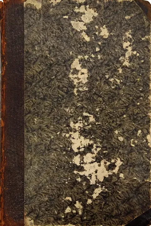 Die Bibel / Heilige Schrift des alten und neuen Testaments - Deutsche Übersetzung D. Martin Luthers - Bild 5