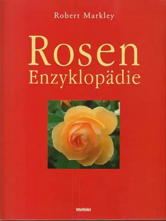 Buch 