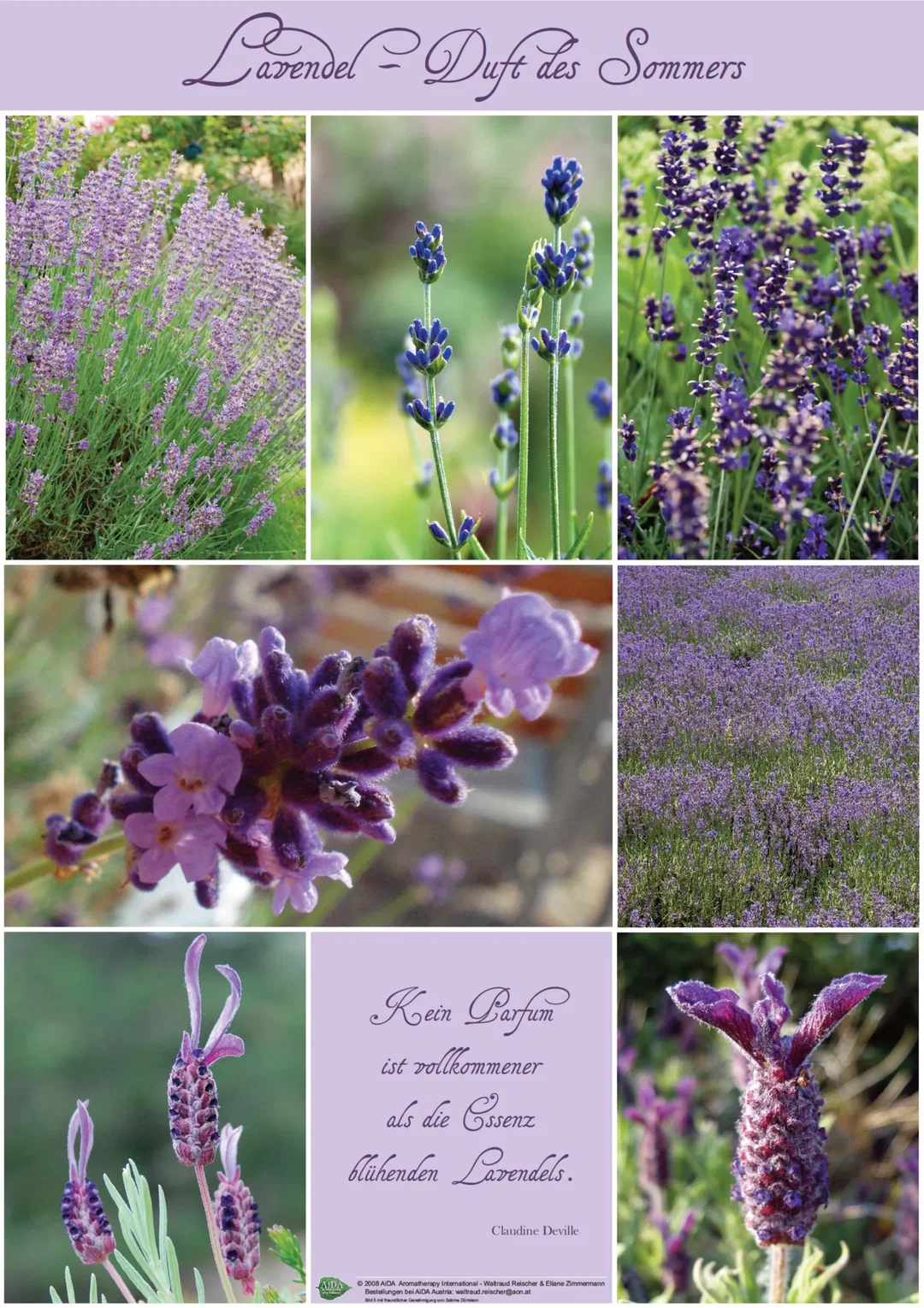 PLAKAT Poster Lavendel-Duft des Sommers A1 - Bild 1