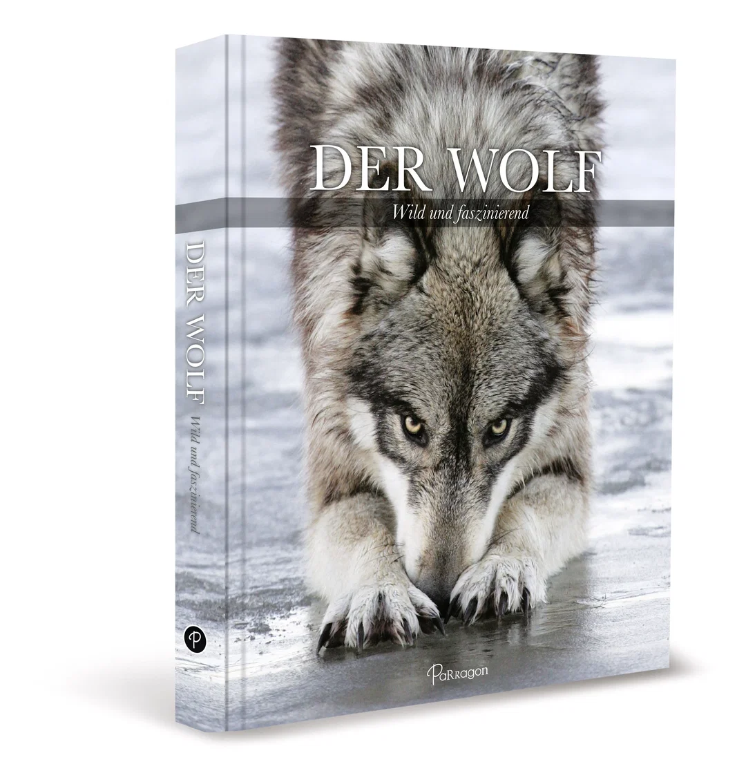 Der Wolf - Shaun Ellis - Bild 1