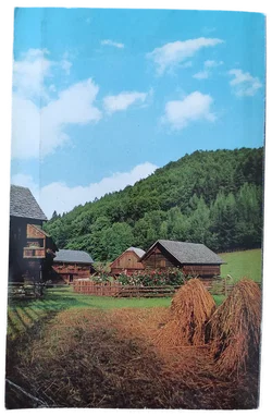 Buch 