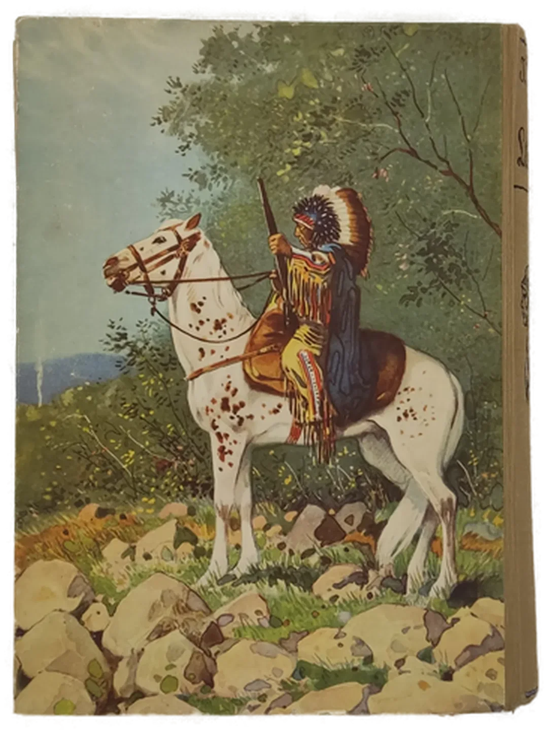 Buch "Lederstrumpf" von James Fenimore Cooper – Bild 2