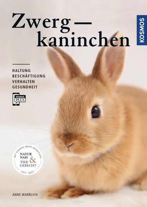 Zwergkaninchen - Anne Warrlich – Bild 1