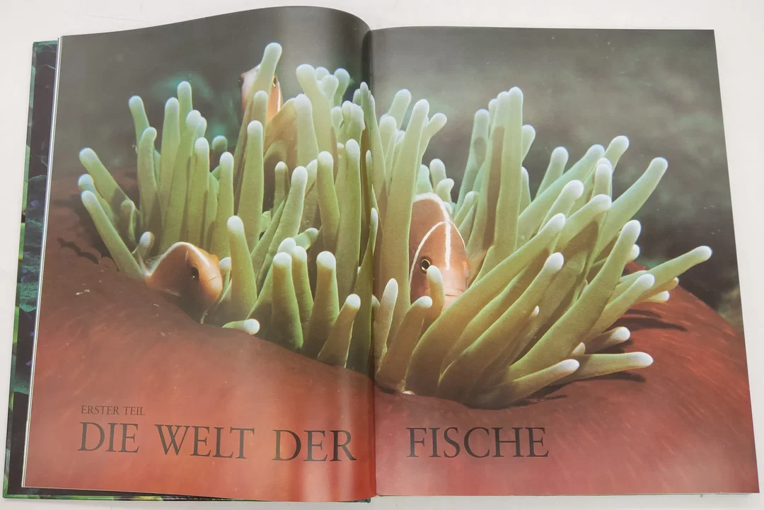 Buch Enzyklopädie der "Fische" – Bild 4