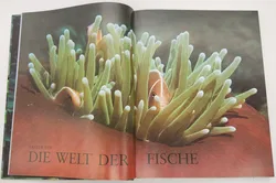 Buch Enzyklopädie der 